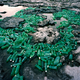 Illustration for article titled Artists Trash Exhibitions Depict A Planet Colonized By Plastic
